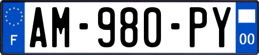 AM-980-PY
