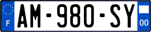 AM-980-SY