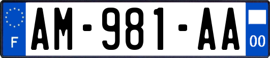 AM-981-AA