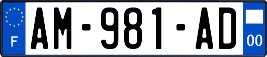 AM-981-AD