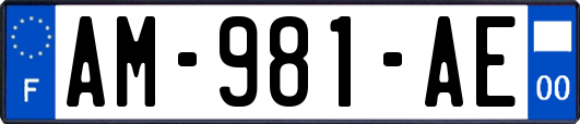 AM-981-AE