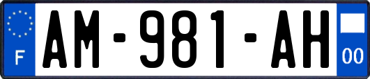 AM-981-AH