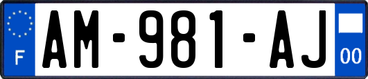 AM-981-AJ