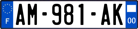 AM-981-AK