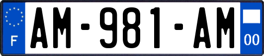 AM-981-AM