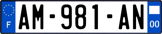 AM-981-AN