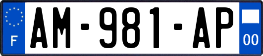 AM-981-AP