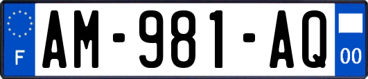 AM-981-AQ