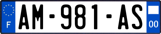 AM-981-AS