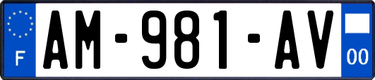 AM-981-AV