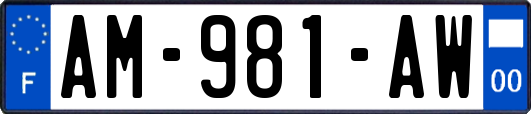 AM-981-AW