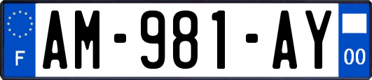AM-981-AY