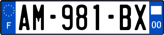 AM-981-BX