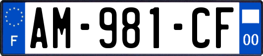 AM-981-CF