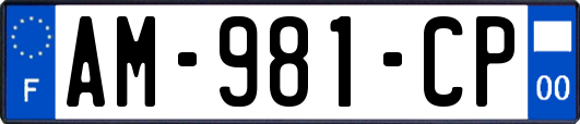AM-981-CP