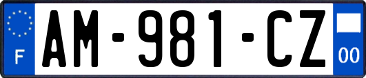 AM-981-CZ