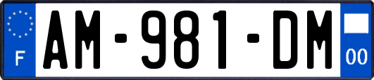 AM-981-DM