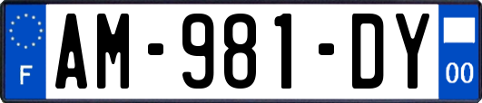 AM-981-DY