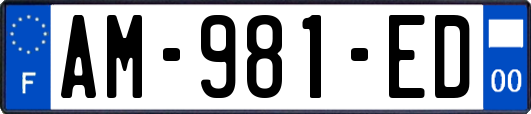 AM-981-ED