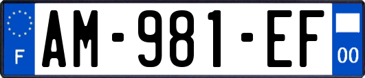 AM-981-EF
