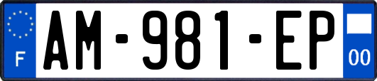 AM-981-EP