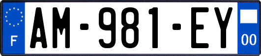 AM-981-EY