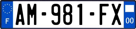 AM-981-FX