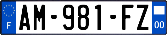 AM-981-FZ