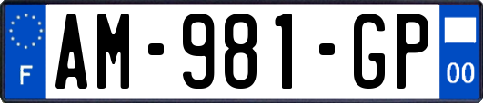 AM-981-GP