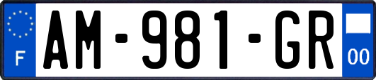 AM-981-GR