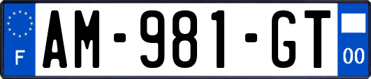 AM-981-GT