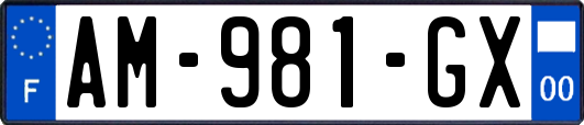 AM-981-GX