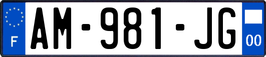 AM-981-JG