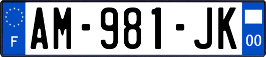 AM-981-JK