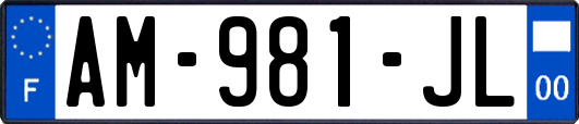 AM-981-JL