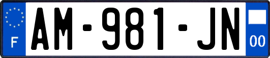 AM-981-JN