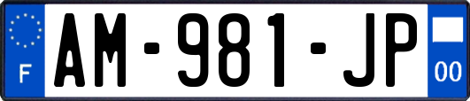 AM-981-JP