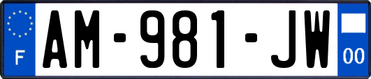 AM-981-JW