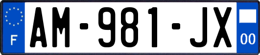 AM-981-JX
