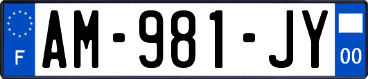 AM-981-JY