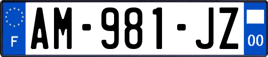 AM-981-JZ