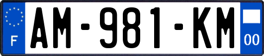 AM-981-KM