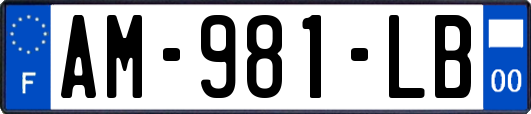 AM-981-LB