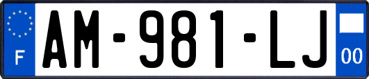 AM-981-LJ