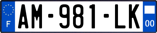 AM-981-LK