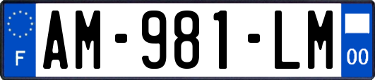 AM-981-LM