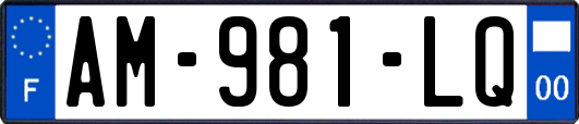 AM-981-LQ