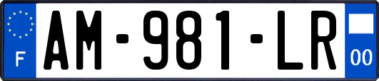 AM-981-LR