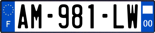 AM-981-LW