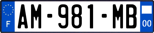 AM-981-MB